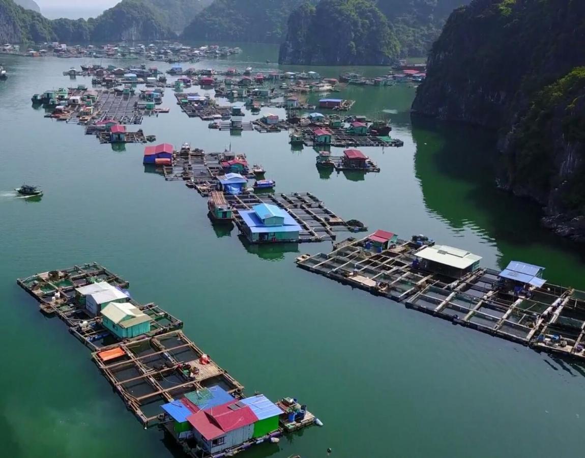Cat Ba Thailand Hotel Dong Khe Sau Esterno foto